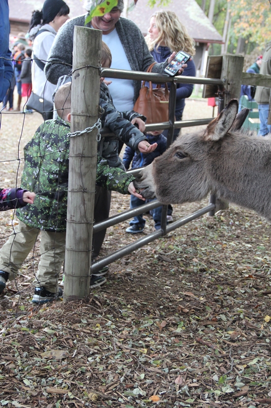 slideshow